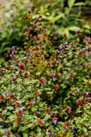 241012_Susie & Charles Gallery-16